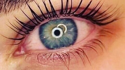 b44bb820-056c-4dd7-b91c-116fc71db36c-7666166