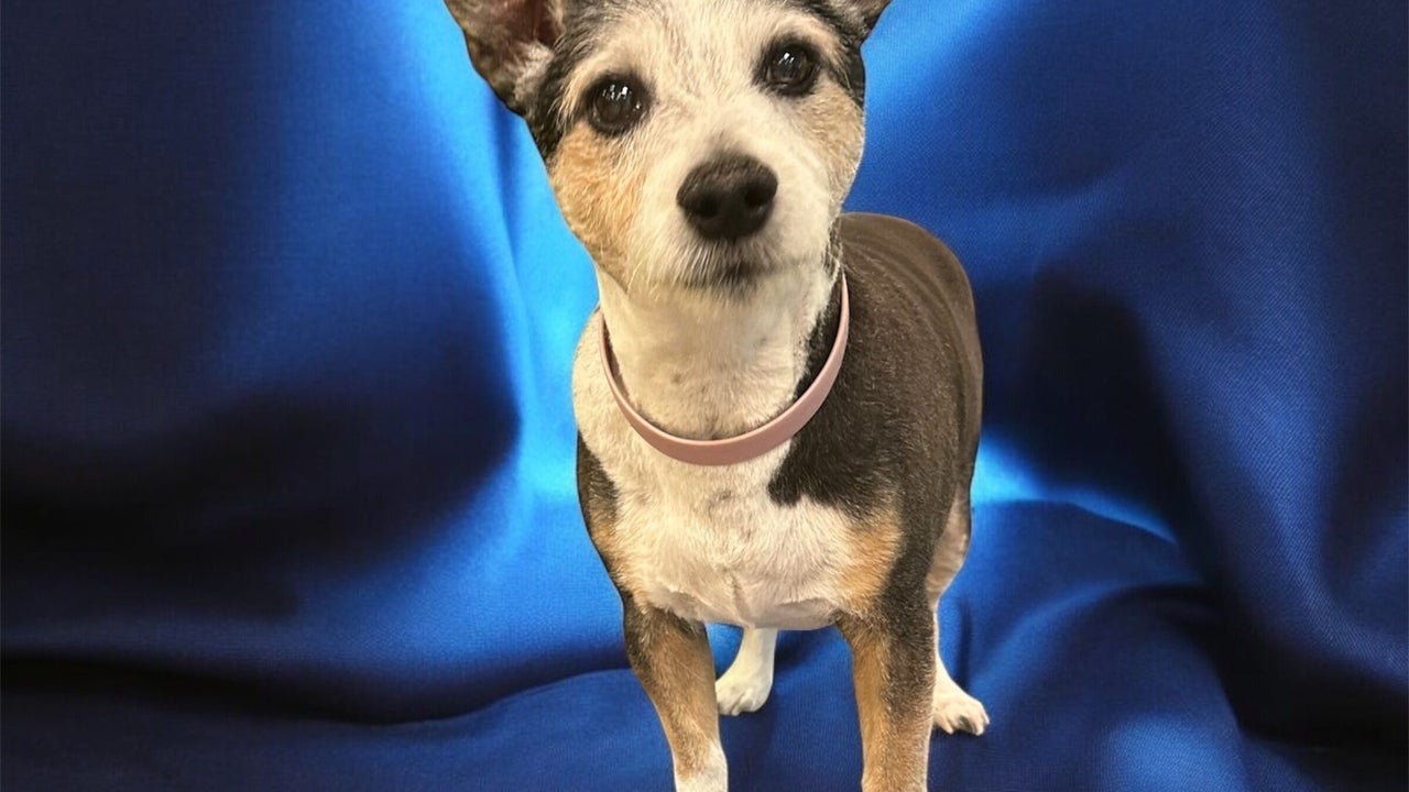 b68ebcb5-c2dd-4a97-9212-76bb7cef428f-groomatthetop-caitlin-gb-scotland-polbeth-fresha-9612580