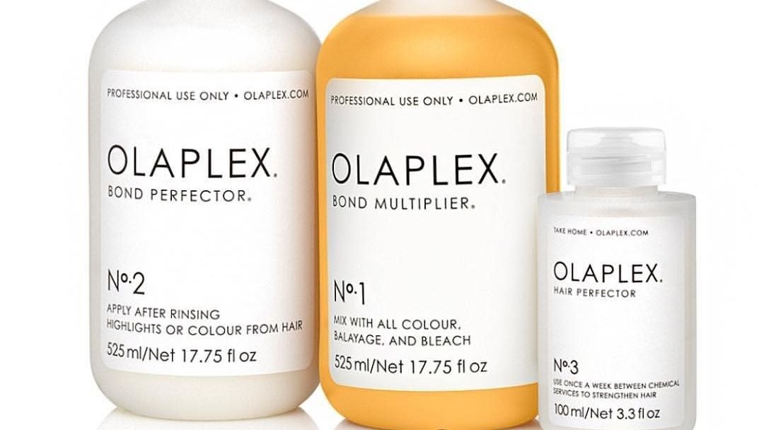 b95811d8-b94e-479b-a68e-369bea78a1ee-4365481