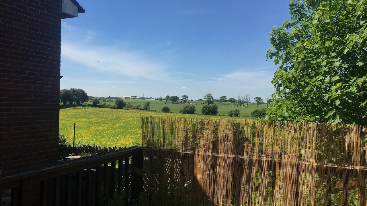 bb5b7126-25f0-4315-9616-95e9746f74f7-4405601