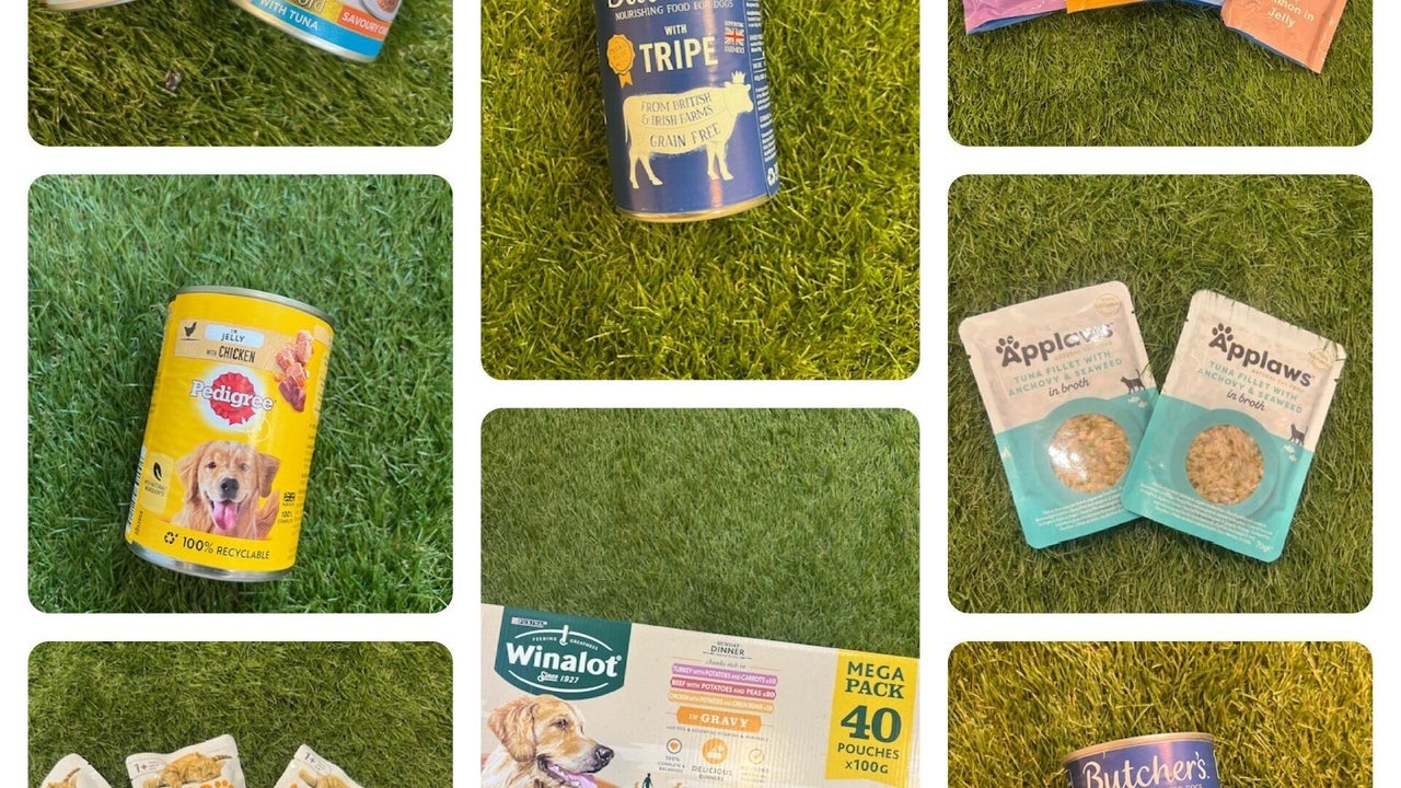 bc11528e-e36e-467e-9ff6-7d354bf9c752-rawpawz-gb-england-whiston-fresha-7720089