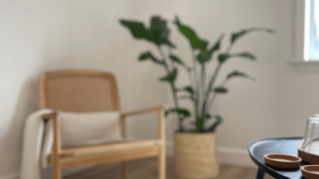 bc5bcf08-04c0-4a36-bdc4-08ee9e103363-thebrowprojecttwentytwourbanwellness-gb-england-sheffield-neepsend-fresha-9977509