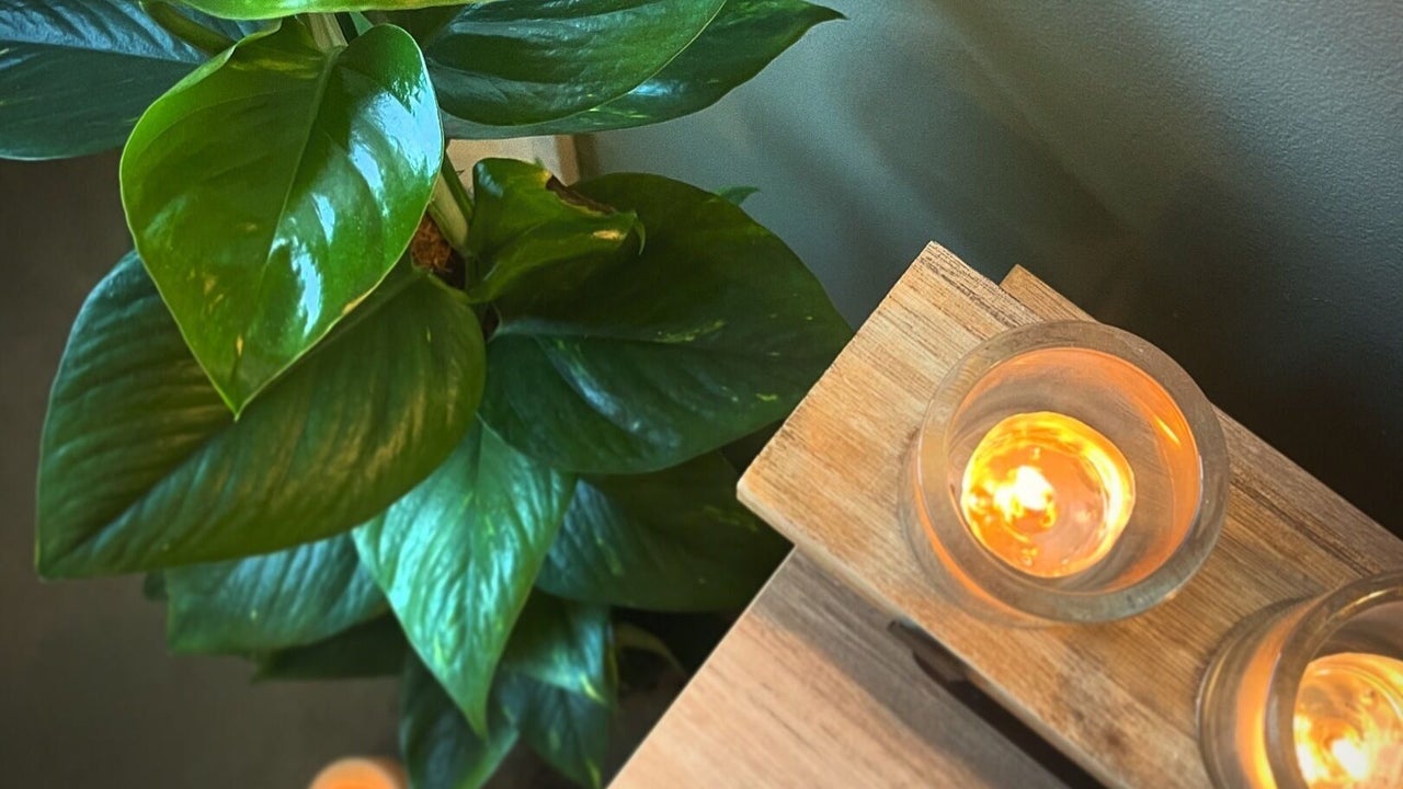 bd3e6c20-c1cc-4d04-99d1-deccc85b7313-greenhillbeauty-gb-england-glastonbury-westbradley-fresha-9093110