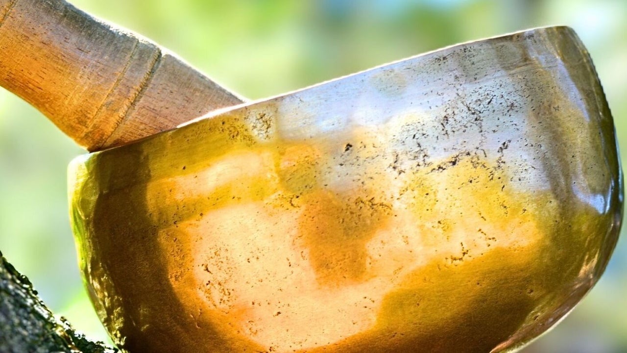 bd714507-1824-46c3-996e-1380d11bbefb-leannehoward-gb-england-willington-fresha-9842287