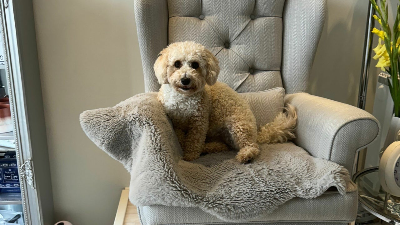 bf97700e-396b-4dd4-8dda-558ff91ef7ab-beautifulyouandco-gb-england-longeaton-fresha-5025063