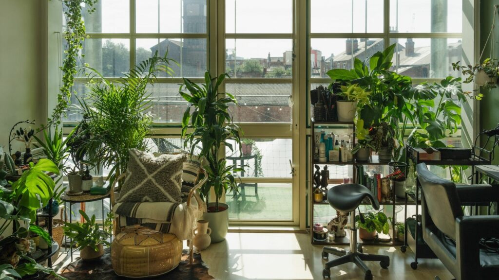 c59b0a69-6513-4864-a3c4-d25c1be1fc59-whiterabbithair-gb-england-birmingham-deritend-fresha-2350859