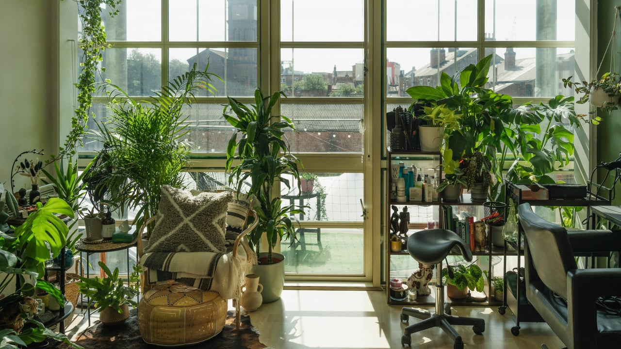 c59b0a69-6513-4864-a3c4-d25c1be1fc59-whiterabbithair-gb-england-birmingham-deritend-fresha-2350859