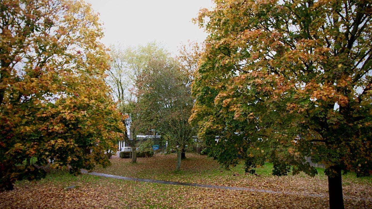c72489b8-2de7-46ac-b613-2684d0b0abe7-hairbystephaniedwyer-gb-england-cranleigh-fresha-9875570