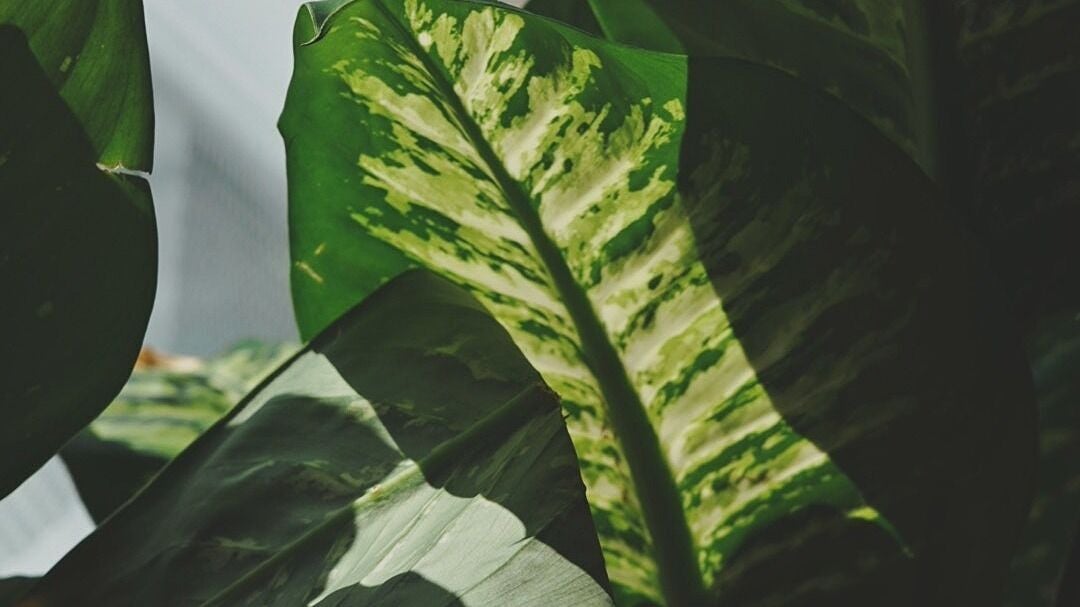 c766be29-c288-48af-8070-f75b4bd558f7-wavebarberstudio-gb-england-southend-on-sea-fresha-5080058