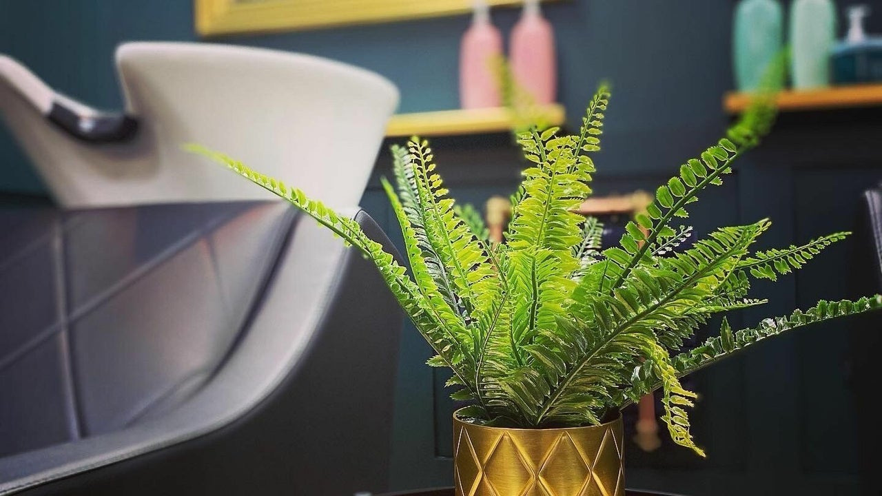 cb7e5417-ab63-4b30-830e-9042ca55b3ef-hyggeluxurysalonomagh-gb-northernireland-omagh-fresha-4468900