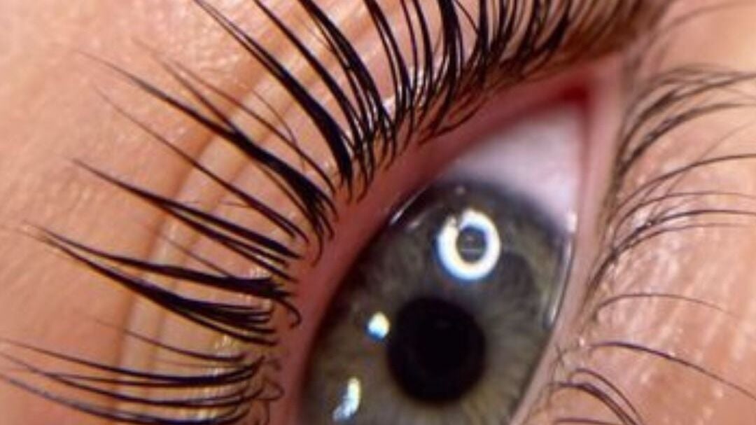 cb967305-928e-4edc-9261-246e6813fc9e-kdbrowbureau-gb-england-york-northyorkshire-fresha-1591481