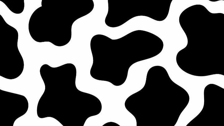 cdac32a5-3b58-4bd2-b9f8-2d8b7e63fbc1-4539288