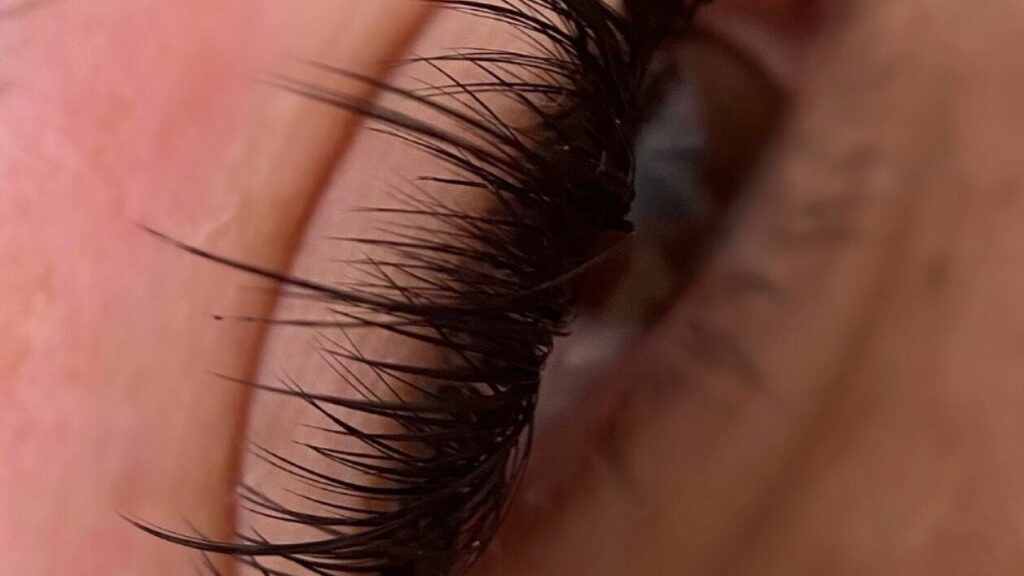 cee40253-47ea-4b55-8c8a-ec5be2411a09-8433342