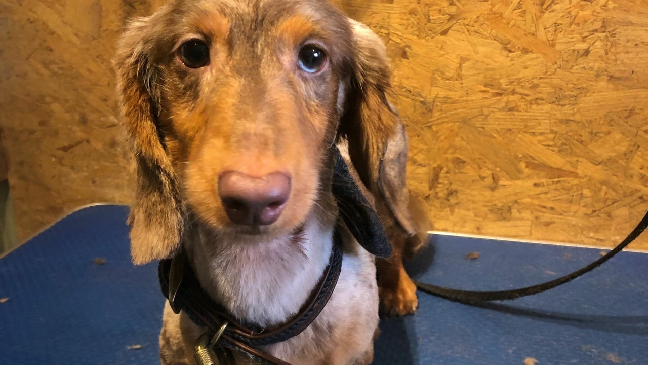 cfc8c4e2-8f9b-4652-b302-4efc8bfd180a-8721148