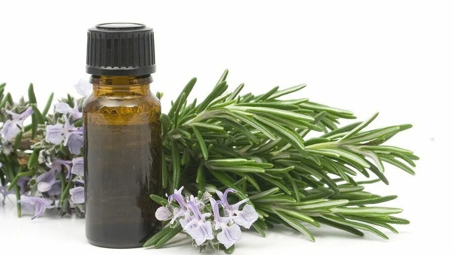 d2d35fc5-1f2f-40cb-9363-e5dce8316007-2578205