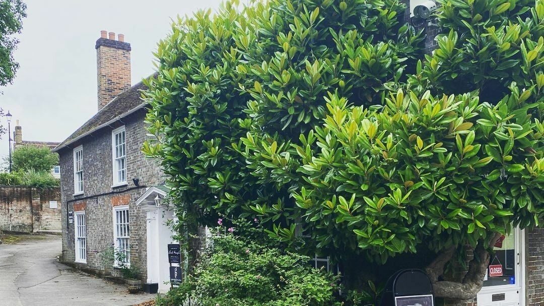 d3bcc27c-4416-4669-8383-9fc778556cf8-leahhaegerlashartist-gb-england-southampton-botley-fresha-3724335