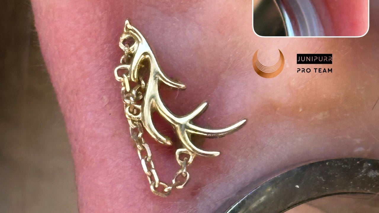 d55b9380-e20f-45cf-a3ee-0d3436d3b7ea-thepiercingco-gb-wales-bridgend-fresha-1496590