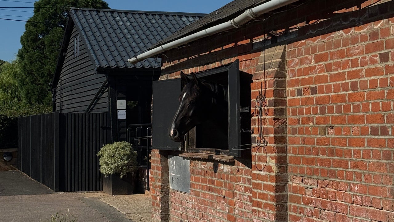 d5733cb7-439f-453a-881d-48b39b568a70-thehideaway-gb-england-hertford-fresha-1683744