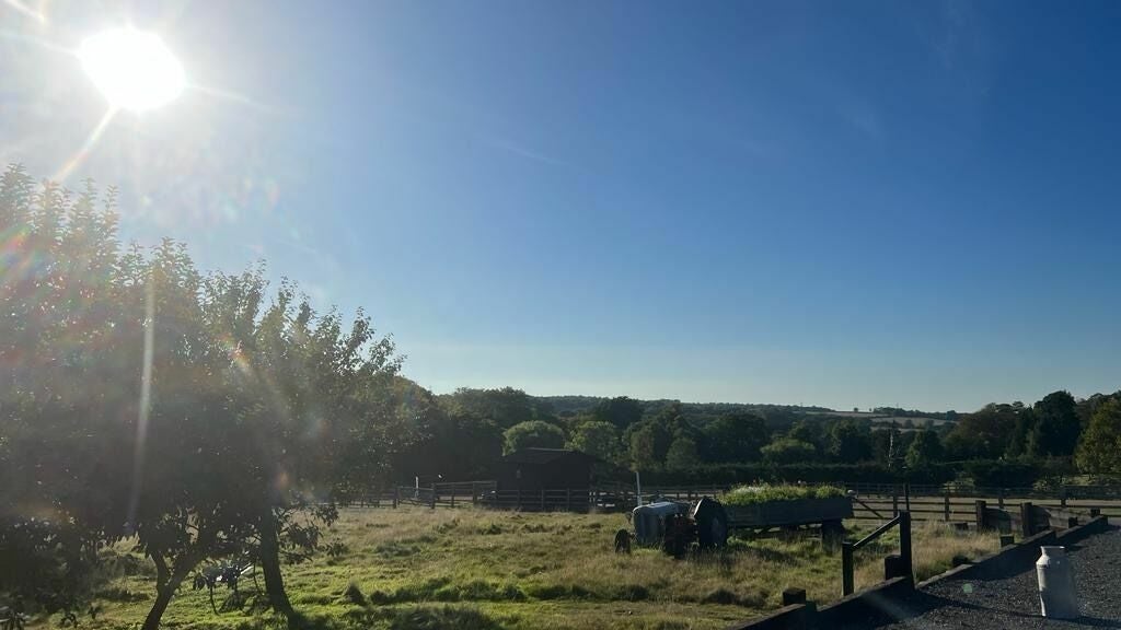 d61d0927-1de9-402d-97e5-7c93686df4b9-6792143