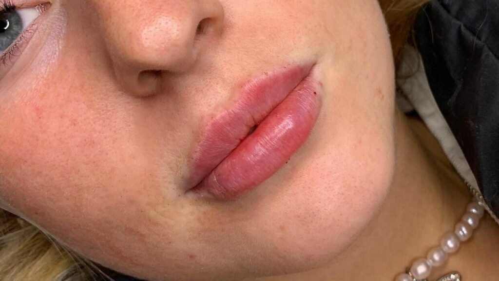 d950628c-e59c-4050-bb0e-764d69c95ec6-2973995