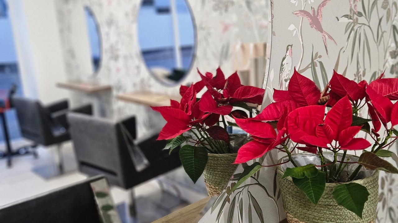 dabfdf7b-33d8-4641-b956-345bf52a732a-grace-hair-gb-england-otterysaintmary-fresha-8078556