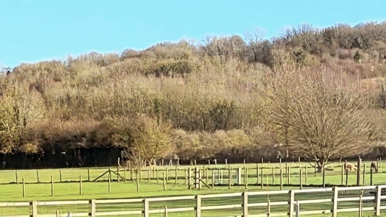 e4f5b4e7-2ff8-47bd-963d-575cb6f72f77-studio12-gb-england-westkingsdown-knattsvalleylane-fresha-3429467