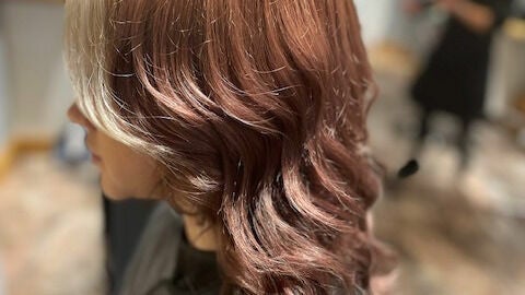 e71584e2-31a8-404d-bacd-921e36f0fb10-1319059