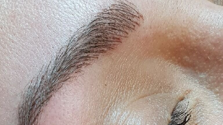 e817d589-7671-45f8-8b04-54c98e20145e-8533781