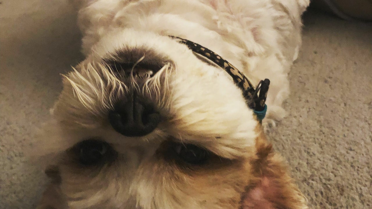 e83b89c2-977c-41ec-b4e2-8e670af049d8-3950857