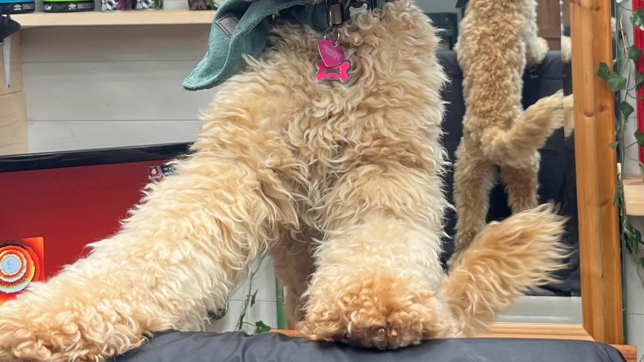 eaea5424-a263-4ecf-ab8e-806ba73f4e5a-lilithstisbury-gb-england-tisbury-tisbury-fresha-2433045