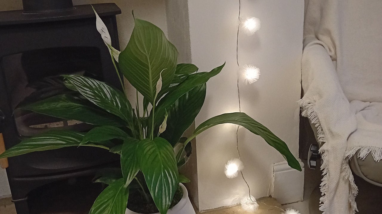 eb2dec55-731b-4cbc-89c0-ffe68d6639c5-artistebeautysidmouth-gb-sidmouth-fresha-6382450