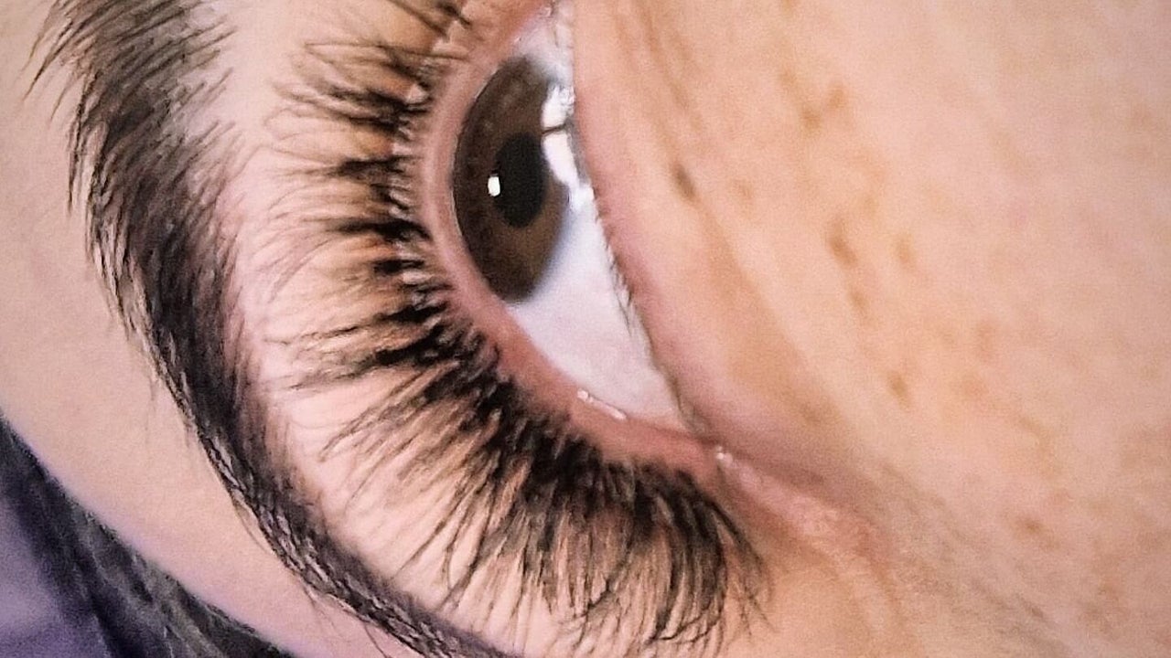 ebdec934-421c-4da7-8eb8-ea2ac7928532-eyeconicbrowslashes-gb-scotland-dalry-fresha-6618062