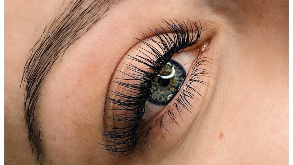 f013f346-62fd-47c3-b47b-ed435b6928d8-4219578