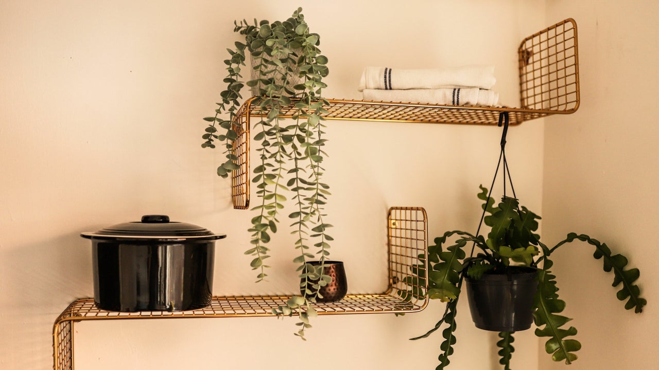 f55e4afd-84f2-4d7a-88c1-173a19d17cfc-1666948