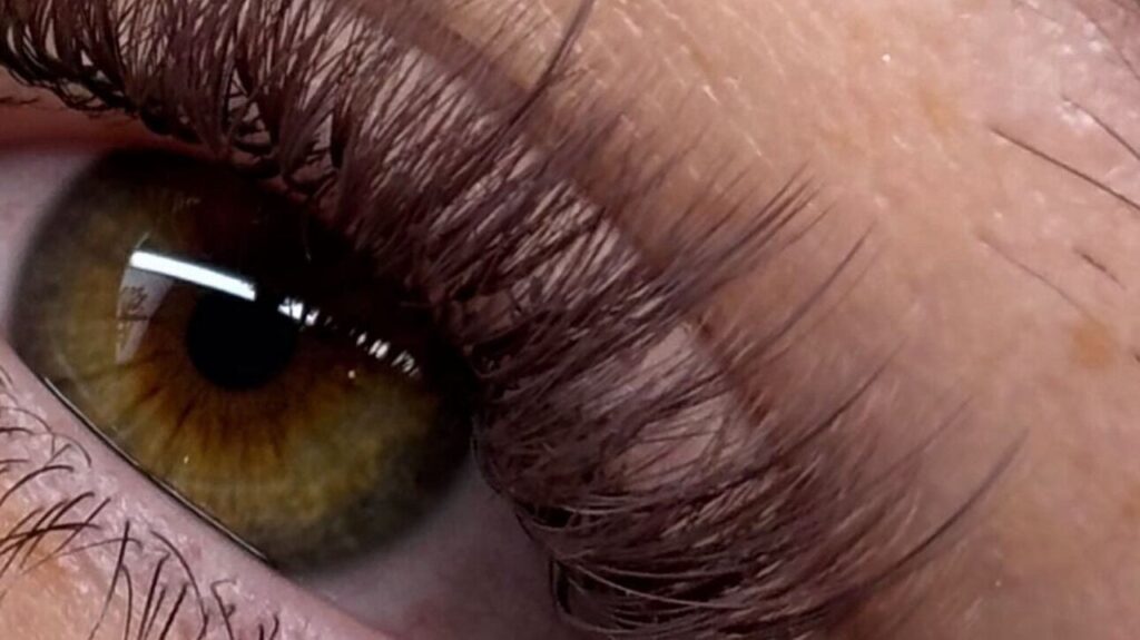 f620b5c7-43a2-41a9-a943-f96545e6f1ff-lashmoney-gb-scotland-livingston-carmondeancentre-fresha-6611259