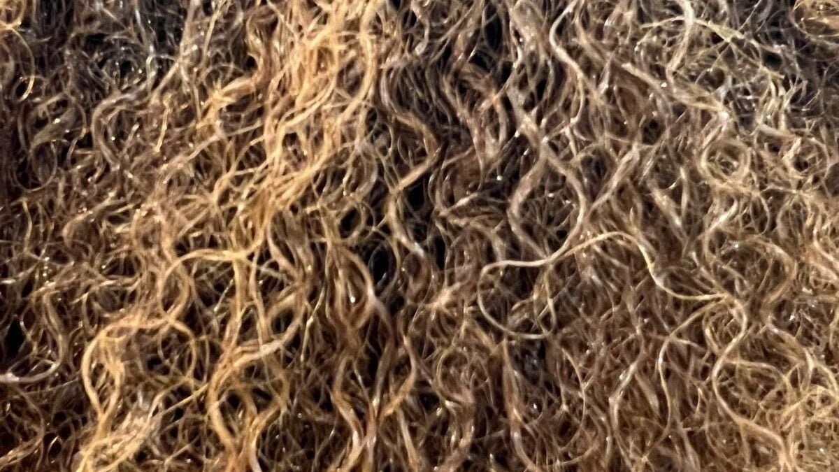 f94314c5-14e7-4295-bd75-451e43c72d00-theonecoutureltd-gb-england-birmingham-fresha-8371540