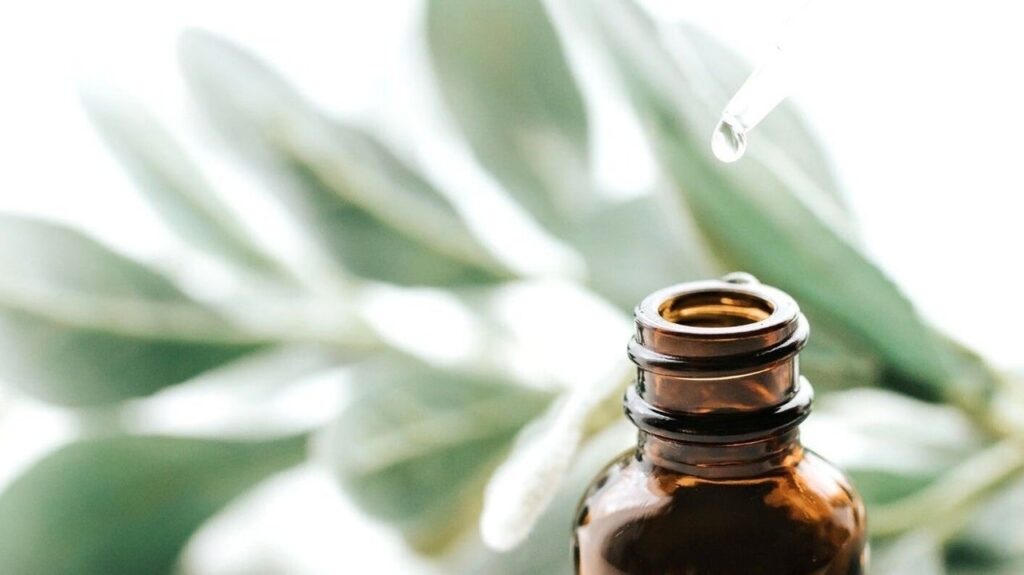 fabc30f6-68f3-40d3-8fd0-302f75798fe4-leannehoward-gb-england-willington-fresha-6648426