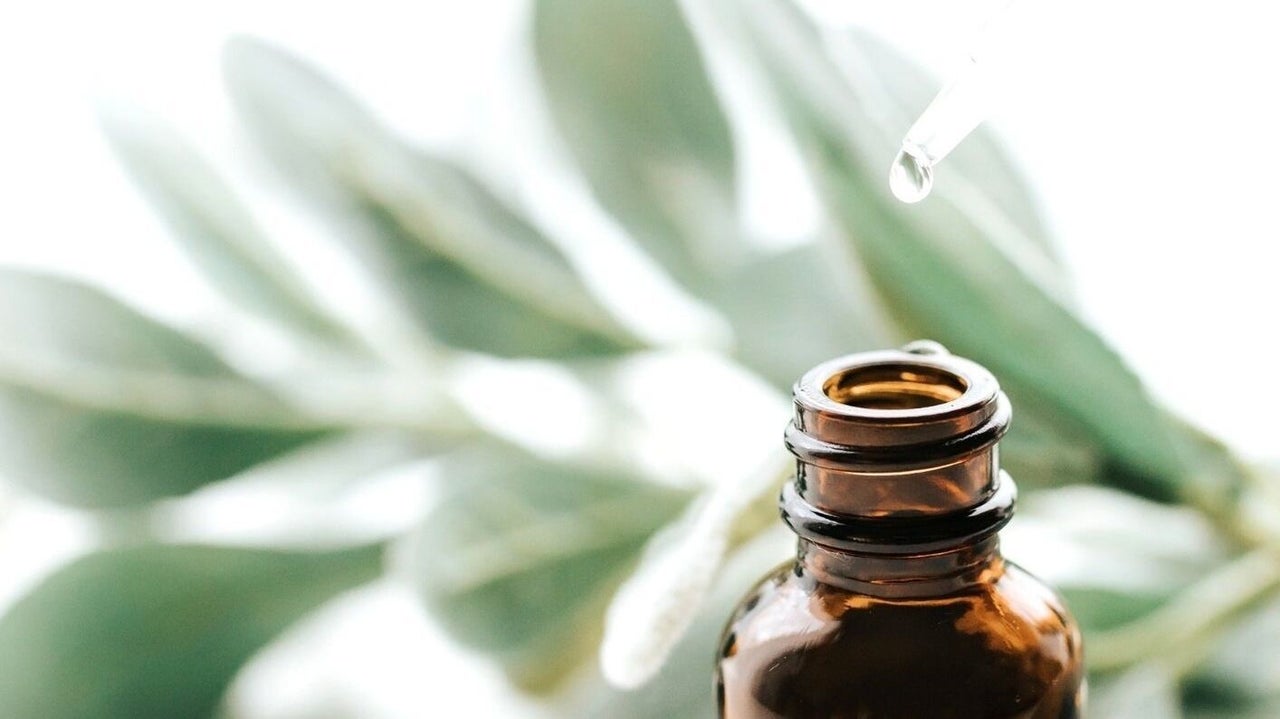 fabc30f6-68f3-40d3-8fd0-302f75798fe4-leannehoward-gb-england-willington-fresha-6648426