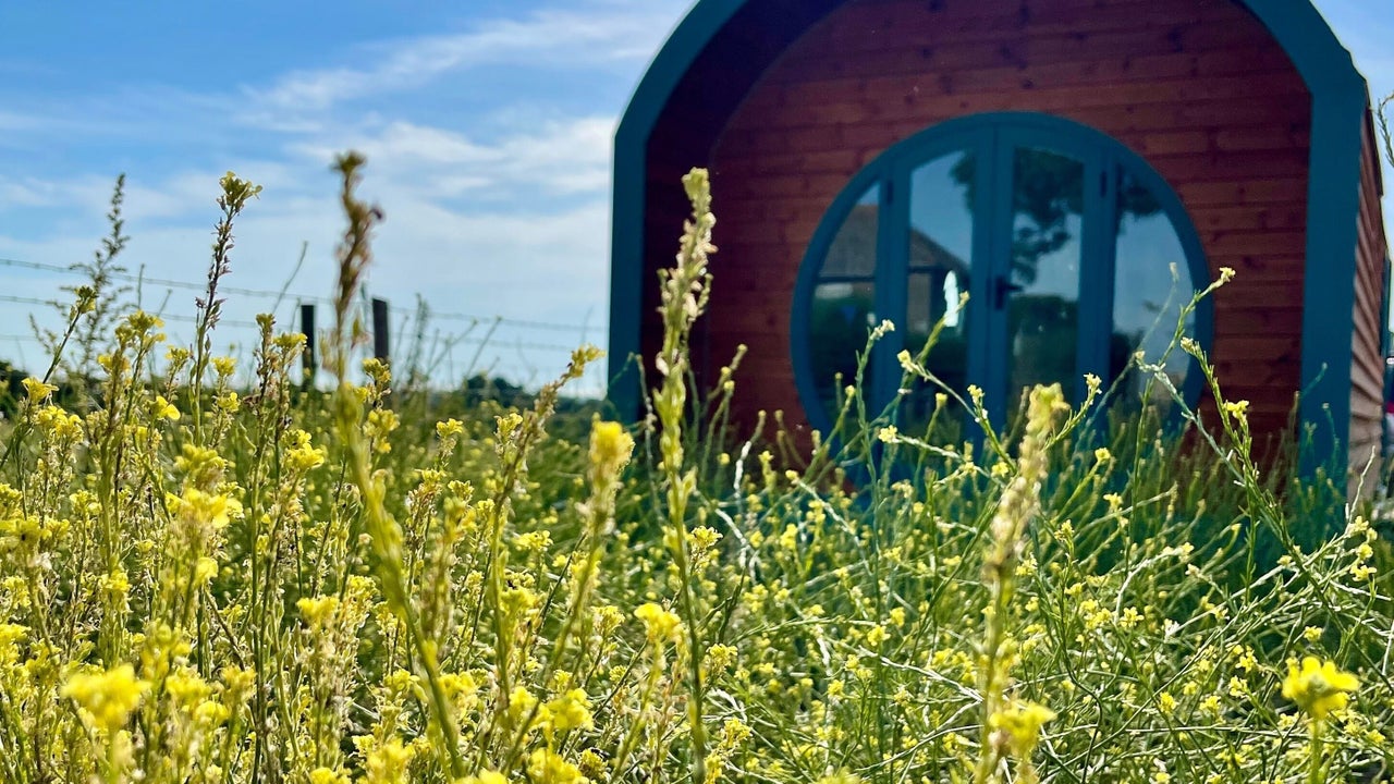 fbbcf780-45cb-429c-b117-349e411b1db0-5067499