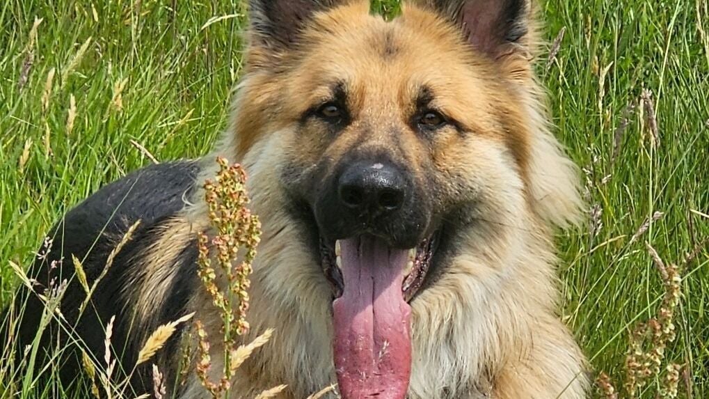 fbdbf2d7-846c-4737-9231-76271cb2dc2a-3ofakindbarbers-gb-england-malvern-fresha-9269463