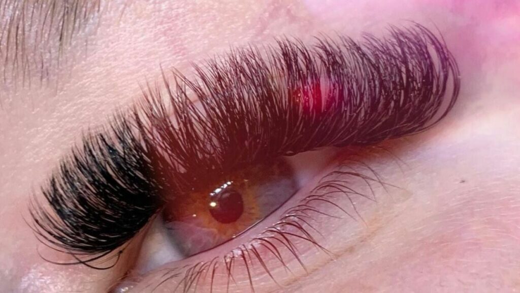 fec4c396-975e-4dd6-98d0-9940952faa92-4848454