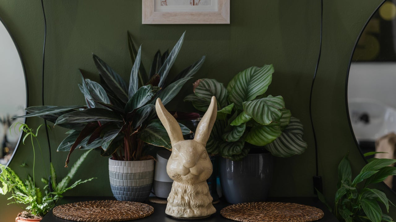 ff0b4f21-dd08-4f8b-b2bb-f9860f8d07a1-whiterabbithair-gb-england-birmingham-deritend-fresha-6067075