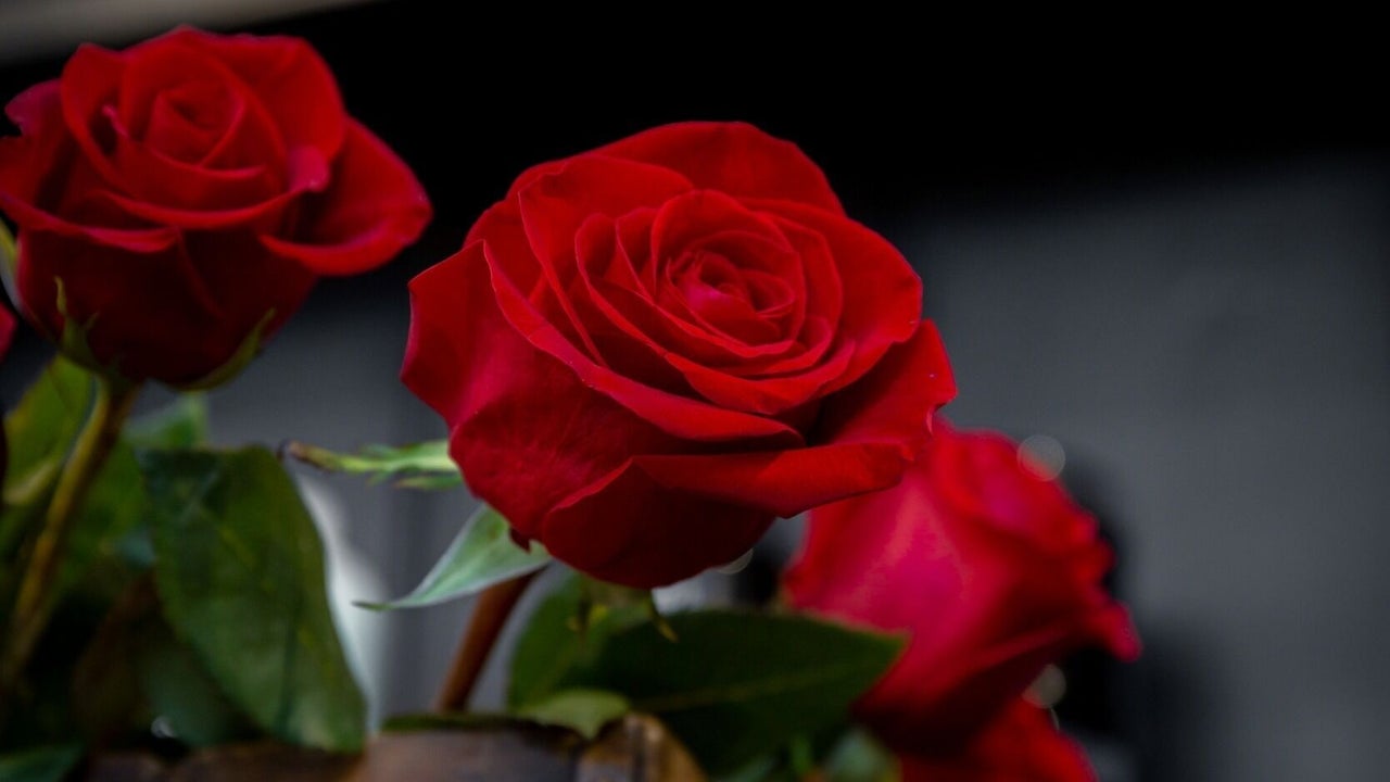 ffb652fa-c165-46bc-b343-ed061747c063-2204873