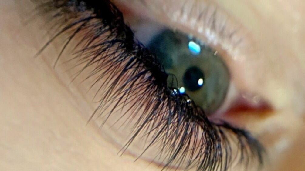 ffc17b38-f8f8-4e8d-9393-88f87ed9f618-llygaidmn-gb-wales-dulas-llaneuddog-fresha-5714249